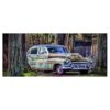 Buick - Mugg - Roadmaster Riviera 1952